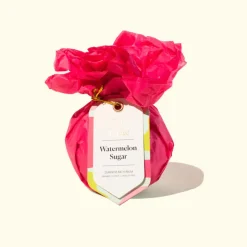 Watermelon Sugar Bath Bomb